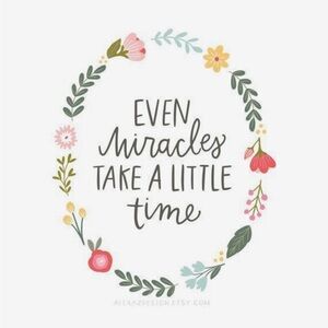 Meet your Posher, Salina